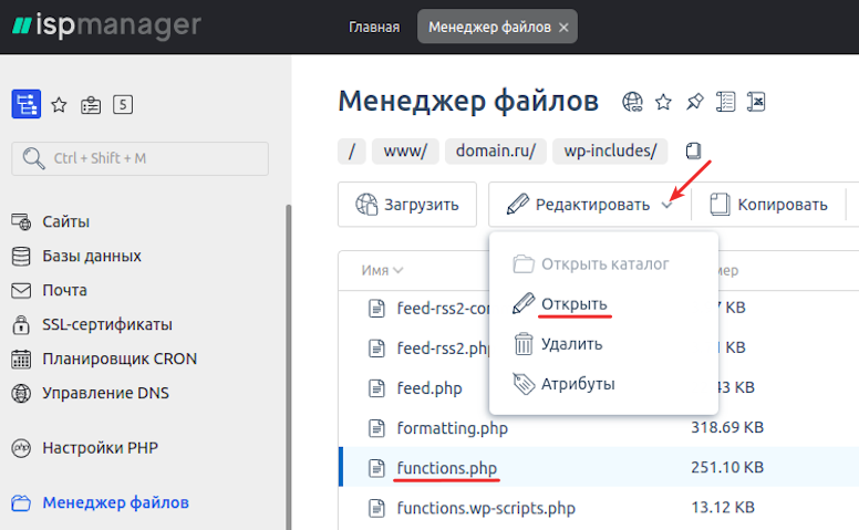 Открыть список файлов сайта в WordPress